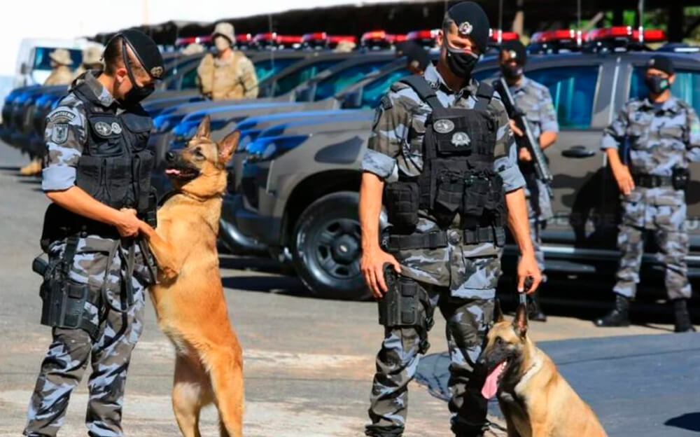 SAIBA QUAIS OS PRINCIPAIS PROBLEMAS QUE OCASIONARAM ELIMINAÇÕES INJUSTAS DURANTE AS FASES DO CONCURSO DA PMGO
